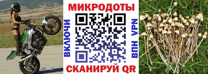 KRAKEN онион  Горячий Ключ  Псилоцибиновые грибы Magic Shrooms 