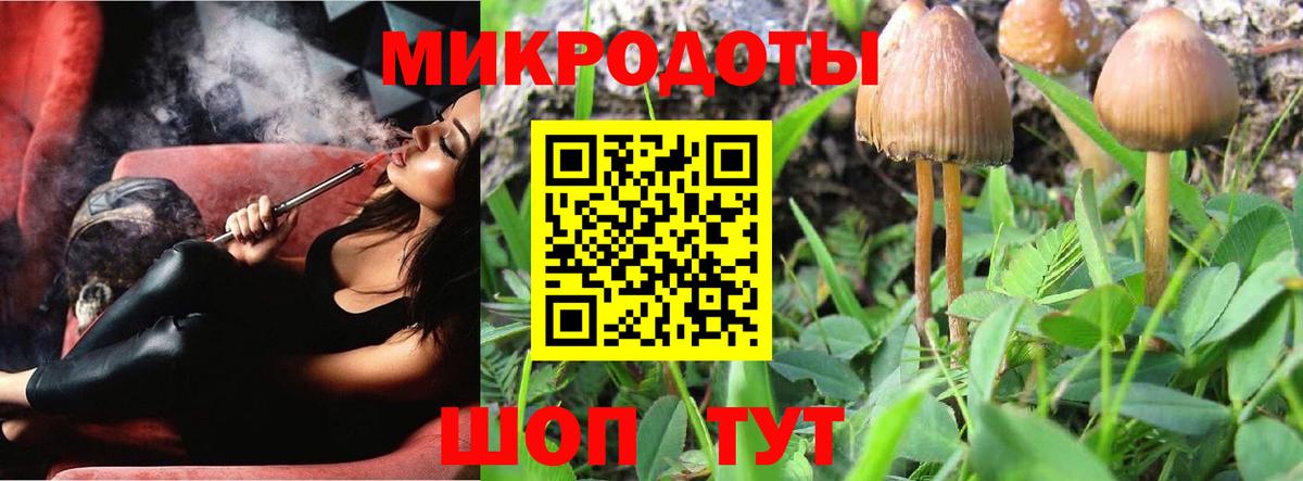 Псилоцибиновые грибы прущие грибы Горячий Ключ