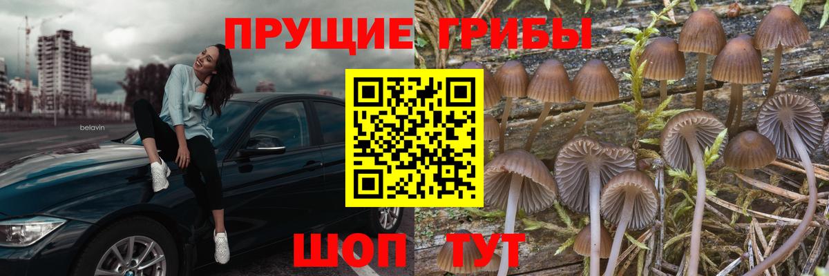 Псилоцибиновые грибы MAGIC MUSHROOMS  Вход с VPN  Горячий Ключ  Псилоцибиновые грибы мицелий 