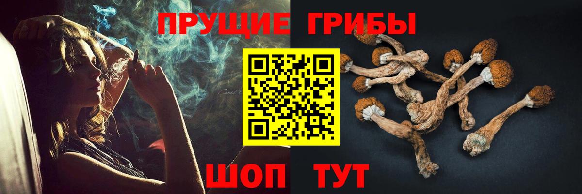 наркошоп  Псилоцибиновые грибы прущие грибы  Горячий Ключ  Галлюциногенные грибы MAGIC MUSHROOMS 