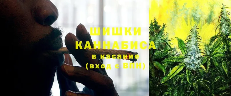 где купить наркотик  Горячий Ключ  МАРИХУАНА SATIVA & INDICA 